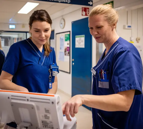 medarbetare medarbetare