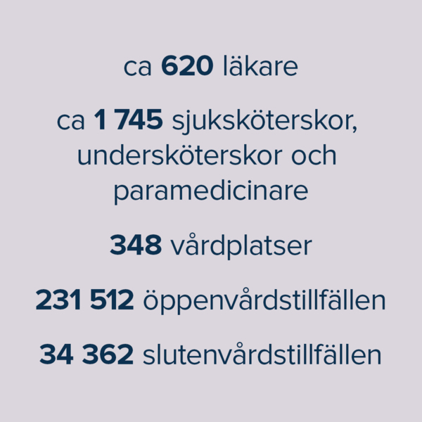 nyckeltal 2022:620 läkare, 1745 sjuksköterskor, 348 vårdplatser, 231512 öppenvårdstillfällen och 34362 slutenvårdstillfällen